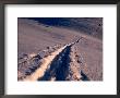 Back Country Snow-Boarding Tracks On Powder Snow, Stokmarknes, Nordland, Norway by Christian Aslund Limited Edition Print