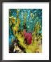 Fire Coral, And Table Coral, Acropora Valenciennesi by Mark Webster Limited Edition Pricing Art Print