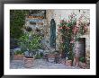 Potted Plants Decorate A Patio In Tuscany, Petroio, Italy by Dennis Flaherty Limited Edition Print