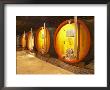 Wine Cellar And Oak Casks, Champagne Jacquesson In Dizy, Vallee De La Marne, Ardennes, France by Per Karlsson Limited Edition Print