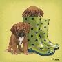 In Her Boots by Maryline Cazenave Limited Edition Print