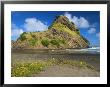 Lion Rock At Piha Beach, New Zealand by Tomas Del Amo Limited Edition Print