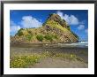 Lion Rock At Piha Beach, New Zealand by Tomas Del Amo Limited Edition Pricing Art Print