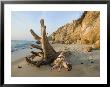 Aquinnah, Gay Head, Martha's Vineyard, Massachusetts, Usa by Walter Bibikow Limited Edition Print