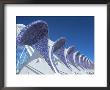 Tiled Features, The Umbracle, City Of Arts And Sciences, Valencia, Spain by Marco Simoni Limited Edition Pricing Art Print