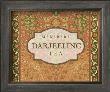Darjeeling Tea by Paula Scaletta Limited Edition Print
