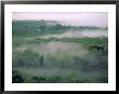 An Overview Of The Tropical Rain Forest In The Tuichi River Valley by Joel Sartore Limited Edition Print