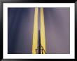 View From The Front Of A Speeding Bicycle by Kenneth Garrett Limited Edition Print