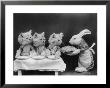 Living Kittens Dressed Up Are Served A Meal By Their Chef Rabbit by Harry Whittier Limited Edition Print