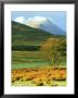 Morven From Braemore, Scotland by Iain Sarjeant Limited Edition Print