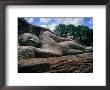 Reclining Buddha Statue Called Gal Vihare Polonnaruwa, Sri Lanka by Michael Aw Limited Edition Print