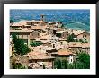 Hilltop Village Of Montalcino Perched Above Val D'orcia, Tuscany, Italy by David Tomlinson Limited Edition Print