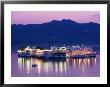 Lake Palace Hotel On Lake Pichola, Udaipur, Rajasthan, India by Greg Elms Limited Edition Print