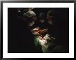 Surgeons Conduct A Kidney Transplant by Jodi Cobb Limited Edition Print