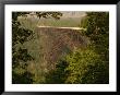 View Of The New River Gorge Bridge From One Side by Raymond Gehman Limited Edition Print