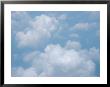 Puffy Cumulus Clouds In The Sky by Heather Perry Limited Edition Print