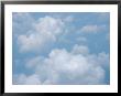 Puffy Cumulus Clouds In The Sky by Heather Perry Limited Edition Pricing Art Print