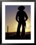 Cowboy Silhouette, Ponderosa Ranch, Seneca, Oregon, Usa by Darrell Gulin Limited Edition Print