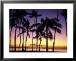 Silhouette Of Palm Trees At Sunset by Volvox Limited Edition Pricing Art Print