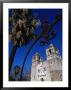 Mission Conception Through Wrought Iron Gate, San Antonio, Texas by John Elk Iii Limited Edition Print