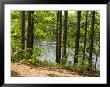 Two Kayaks On The Water In Hopkington State Park, Massachusetts by Tim Laman Limited Edition Print