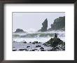 Beach At Lappish, Olympic National Park, Washington, Usa by Charles Sleicher Limited Edition Print