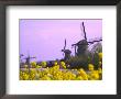 Windmills Along The Canal In Kinderdijk, Netherlands by Keren Su Limited Edition Print