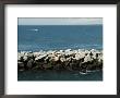 Rock Jetty At Old Harbor On Block Island, Rhode Island by Todd Gipstein Limited Edition Print