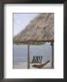 Swinging Chairs At Turneffe Caye Resort, Belize by Stuart Westmoreland Limited Edition Print