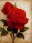 Ornamental Roses I by Igor Levashov Limited Edition Pricing Art Print
