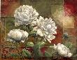 Praise Peony by Janet Stever Limited Edition Pricing Art Print