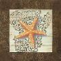 Starfish Square by Martin Wiscombe Limited Edition Pricing Art Print