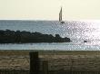 Sailboat In The Mediterranean, With A Beach And Rocks, Foreground, La Grande Motte, France by Stephen Sharnoff Limited Edition Print