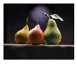 Three Pears by Atu Studios Limited Edition Print