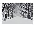 Central Park In Winter by Rudy Sulgan Limited Edition Print