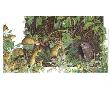 Mice In Hedgerow by Alan Baker Limited Edition Print