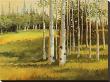 Sunstruck by Susanne Darius Limited Edition Pricing Art Print