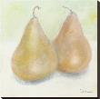 Pear Duo by Serena Barton Limited Edition Pricing Art Print