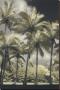 Hawaiian Vintage Ii by Dianne Poinski Limited Edition Print