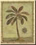 Caribbean Palm Iv With Bamboo Border by Betty Whiteaker Limited Edition Print