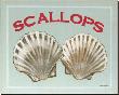 Scallops by Catherine Jones Limited Edition Pricing Art Print