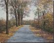 October Walk by Diane Romanello Limited Edition Print