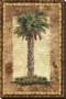 Classic Palm Ii by Kathleen Denis Limited Edition Pricing Art Print