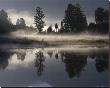 Lake Matheson At Dawn by Sheila Smart Limited Edition Print