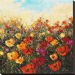 Poppy Dance I by Peggy Corthouts Limited Edition Print