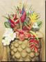 Tropical Flora by William T. Templeton Limited Edition Print