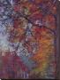 Crystalline Sky by Dorothy Fagan Limited Edition Pricing Art Print