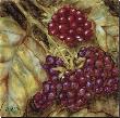 Ripening Berries by Nicole Etienne Limited Edition Print