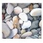 Rocks And Pebbles by Jeneta Bird Limited Edition Pricing Art Print