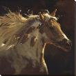 Spirit Horse by Carolyne Hawley Limited Edition Pricing Art Print